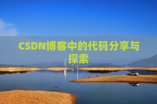 CSDN博客中的代码分享与探索